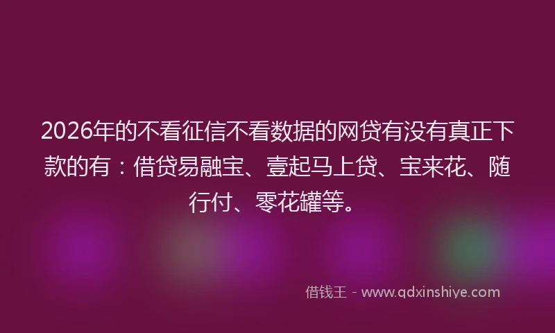 2026年的不看征信不看数据的网贷有没有真正下款的有:借贷易融宝、壹起马上贷、宝来花、随行付、零花罐等。