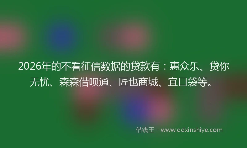 2026年的不看征信数据的贷款有:惠众乐、贷你无忧、森森借呗通、匠也商城、宜口袋等。