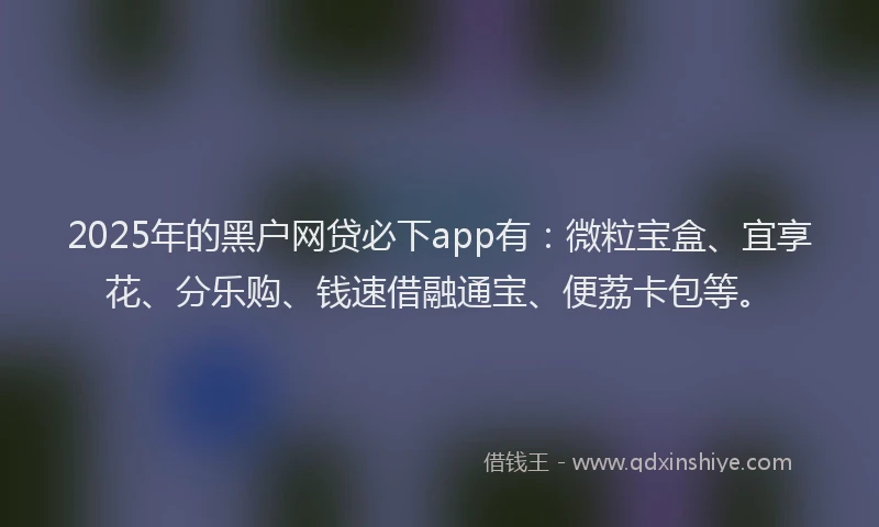 2025年的黑户网贷必下app有：微粒宝盒、宜享花、分乐购、钱速借融通宝、便荔卡包等。