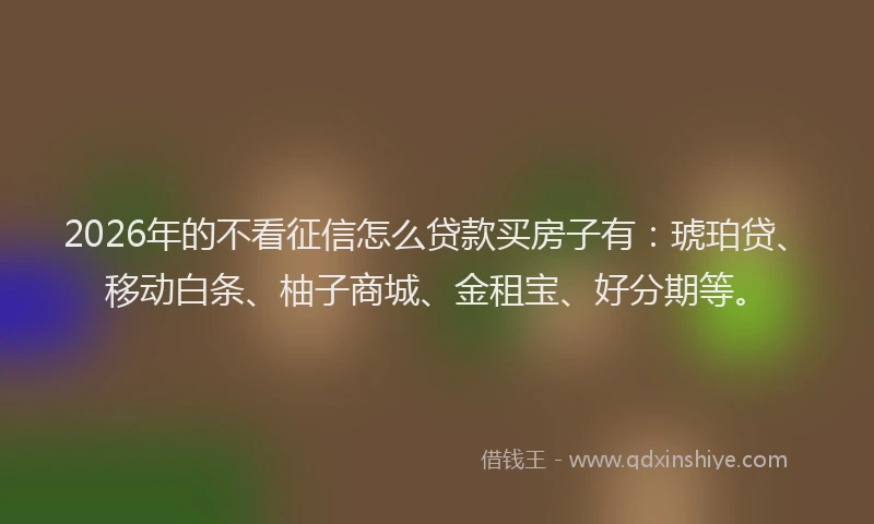 2026年的不看征信怎么贷款买房子有：琥珀贷、移动白条、柚子商城、金租宝、好分期等。