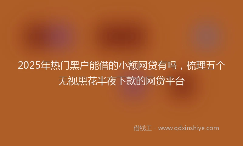 2025年热门黑户能借的小额网贷有吗，梳理五个无视黑花半夜下款的网贷平台
