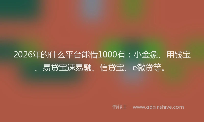 2026年的什么平台能借1000有：小金象、用钱宝、易贷宝速易融、信贷宝、e微贷等。