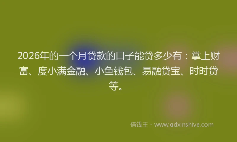 2026年的一个月贷款的口子能贷多少有：掌上财富、度小满金融、小鱼钱包、易融贷宝、时时贷等。