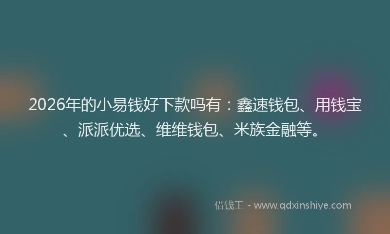 2026年的小易钱好下款吗有:鑫速钱包、用钱宝、派派优选、维维钱包、米族金融等。