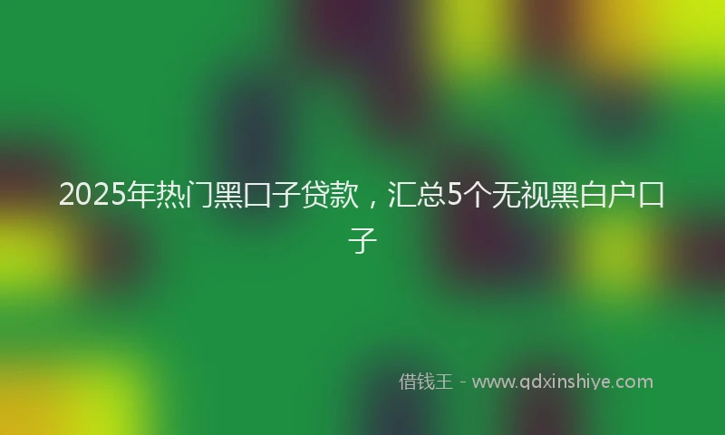 2025年热门黑囗子贷款，汇总5个无视黑白户口子