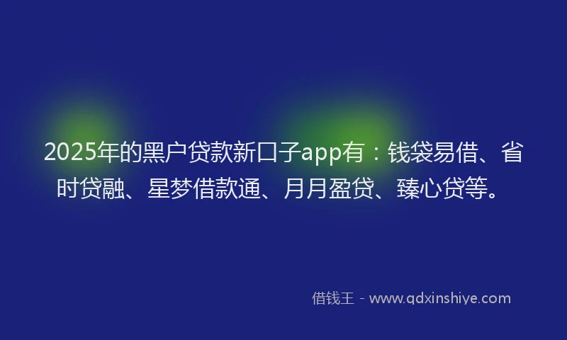 2025年的黑户贷款新口子app有：钱袋易借、省时贷融、星梦借款通、月月盈贷、臻心贷等。