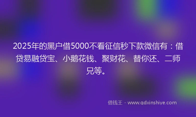 2025年的黑户借5000不看征信秒下款微信有：借贷易融贷宝、小鹅花钱、聚财花、替你还、二师兄等。