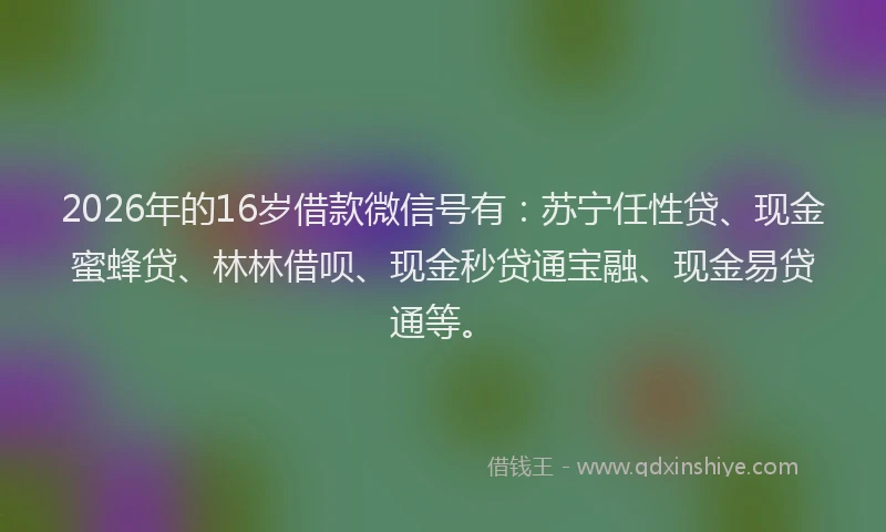 2026年的16岁借款微信号有：苏宁任性贷、现金蜜蜂贷、林林借呗、现金秒贷通宝融、现金易贷通等。