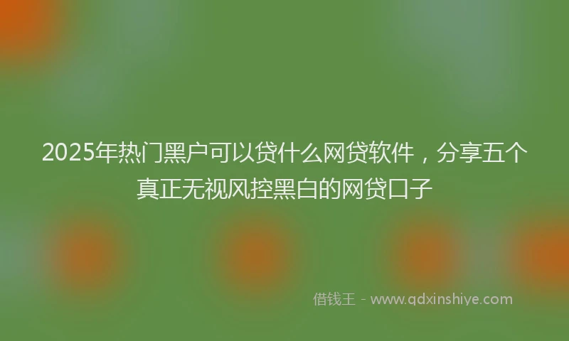 2025年热门黑户可以贷什么网贷软件，分享五个真正无视风控黑白的网贷口子