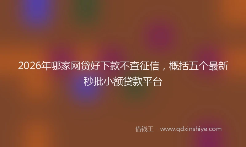 2026年哪家网贷好下款不查征信,概括五个最新秒批小额贷款平台