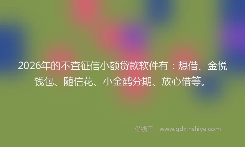 2026年的不查征信小额贷款软件有：想借、金悦钱包、随信花、小金鹤分期、放心借等。