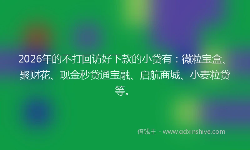 2026年的不打回访好下款的小贷有:微粒宝盒、聚财花、现金秒贷通宝融、启航商城、小麦粒贷等。