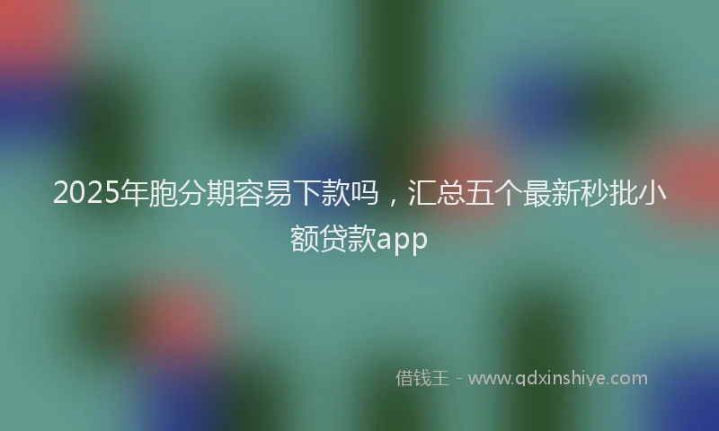 2025年胞分期容易下款吗，汇总五个最新秒批小额贷款app