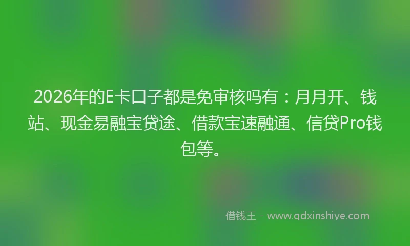 2026年的E卡口子都是免审核吗有：月月开、钱站、现金易融宝贷途、借款宝速融通、信贷Pro钱包等。
