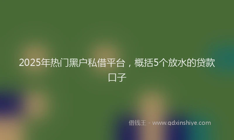 2025年热门黑户私借平台，概括5个放水的贷款口子