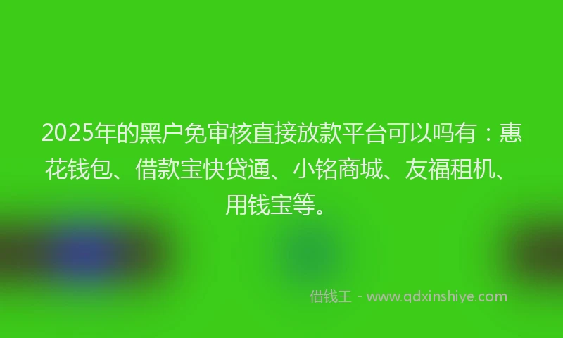 2025年的黑户免审核直接放款平台可以吗有：惠花钱包、借款宝快贷通、小铭商城、友福租机、用钱宝等。