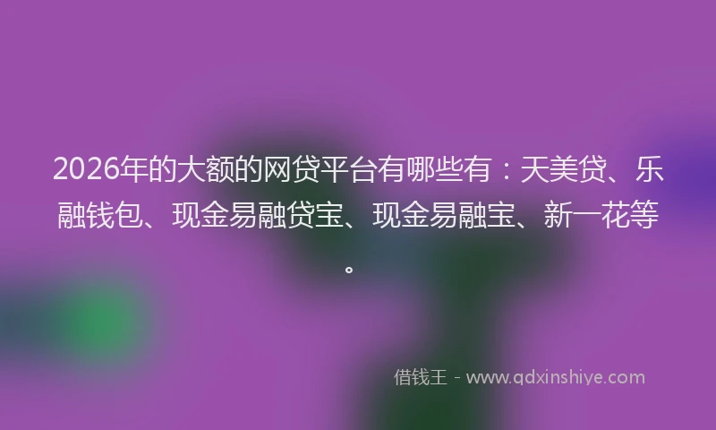 2026年的大额的网贷平台有哪些有：天美贷、乐融钱包、现金易融贷宝、现金易融宝、新一花等。