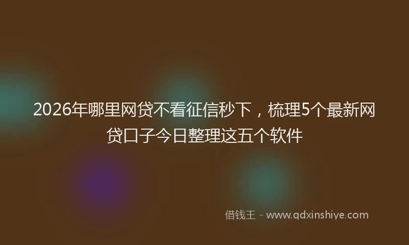 2026年哪里网贷不看征信秒下,梳理5个最新网贷口子今日整理这五个软件