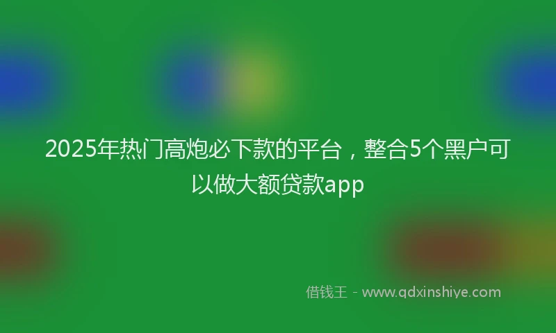 2025年热门高炮必下款的平台，整合5个黑户可以做大额贷款app