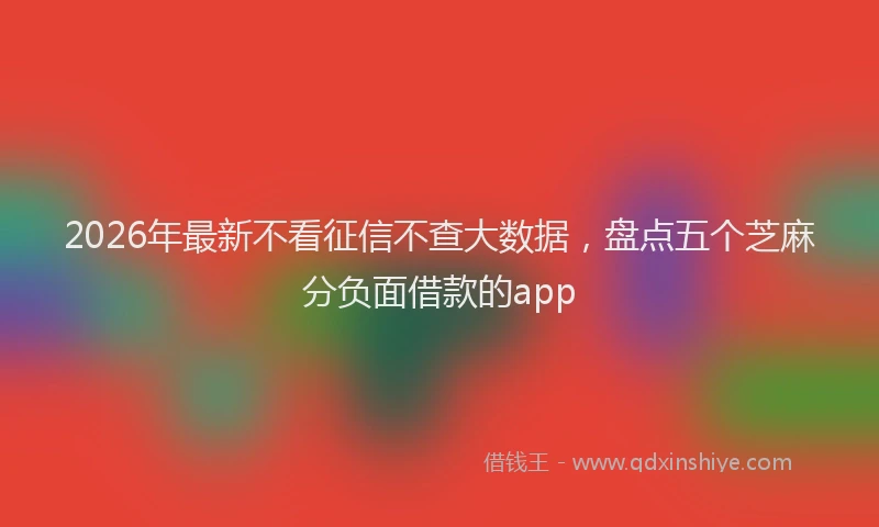 2026年最新不看征信不查大数据,盘点五个芝麻分负面借款的app