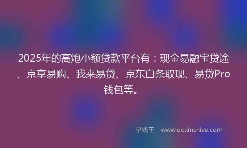 2025年的高炮小额贷款平台有:现金易融宝贷途、京享易购、我来易贷、京东白条取现、易贷Pro钱包等。