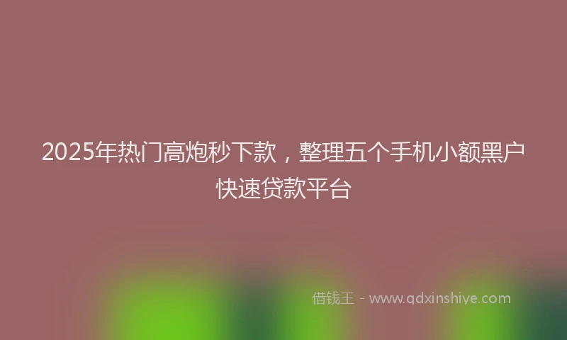 2025年热门高炮秒下款,整理五个手机小额黑户快速贷款平台