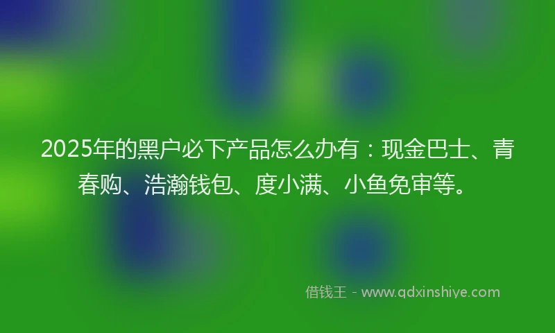 2025年的黑户必下产品怎么办有：现金巴士、青春购、浩瀚钱包、度小满、小鱼免审等。