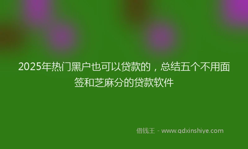2025年热门黑户也可以贷款的,总结五个不用面签和芝麻分的贷款软件