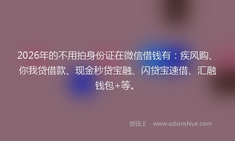 2026年的不用拍身份证在微信借钱有:疾风购、你我贷借款、现金秒贷宝融、闪贷宝速借、汇融钱包+等。