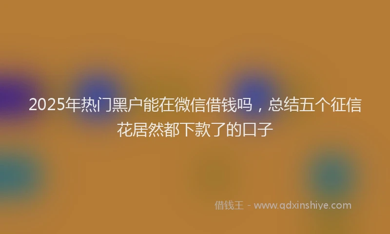 2025年热门黑户能在微信借钱吗,总结五个征信花居然都下款了的口子