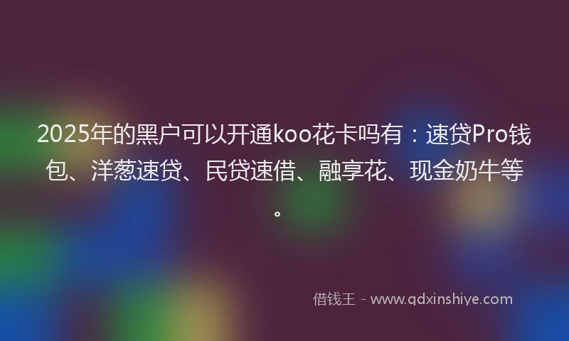 2025年的黑户可以开通koo花卡吗有:速贷Pro钱包、洋葱速贷、民贷速借、融享花、现金奶牛等。