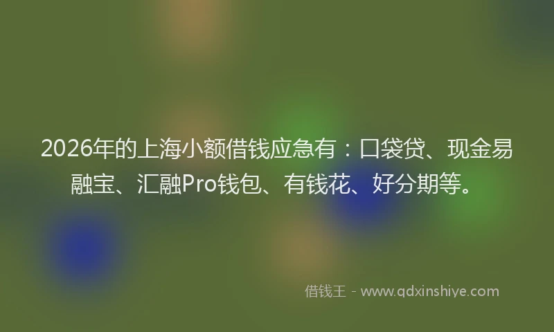 2026年的上海小额借钱应急有:口袋贷、现金易融宝、汇融Pro钱包、有钱花、好分期等。