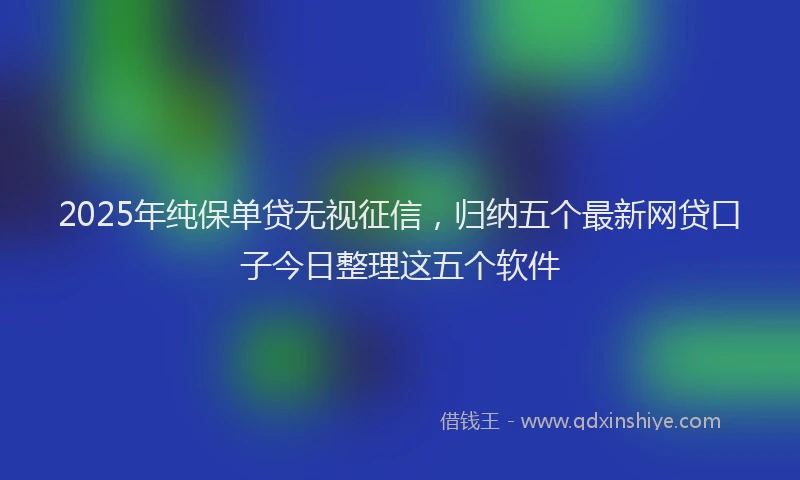 2025年纯保单贷无视征信，归纳五个最新网贷口子今日整理这五个软件