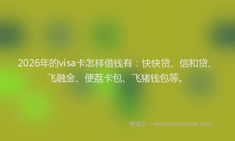 2026年的visa卡怎样借钱有：快快贷、信和贷、飞融金、便荔卡包、飞猪钱包等。
