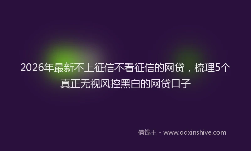 2026年最新不上征信不看征信的网贷，梳理5个真正无视风控黑白的网贷口子