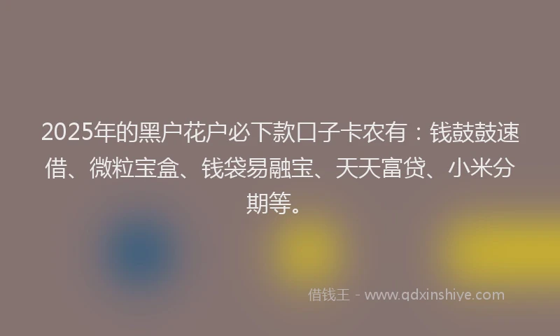 2025年的黑户花户必下款口子卡农有：钱鼓鼓速借、微粒宝盒、钱袋易融宝、天天富贷、小米分期等。