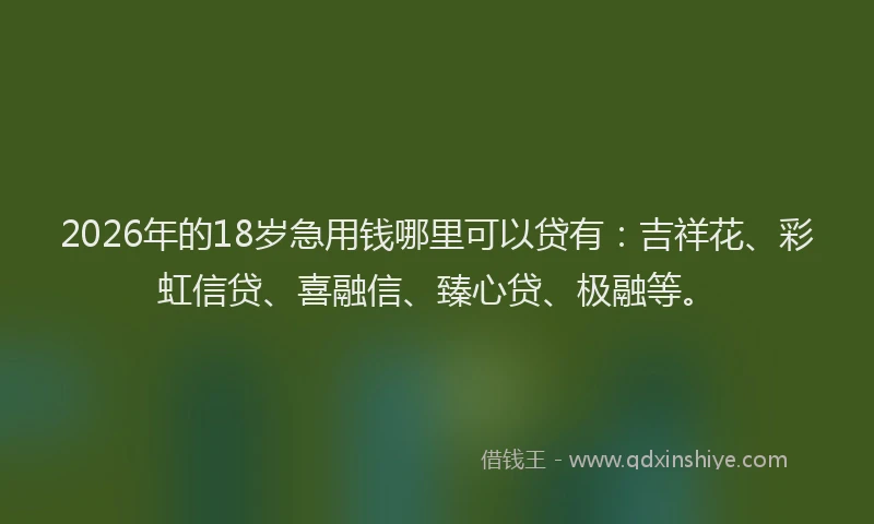 2026年的18岁急用钱哪里可以贷有:吉祥花、彩虹信贷、喜融信、臻心贷、极融等。