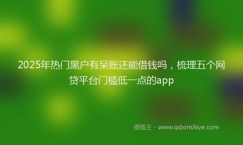 2025年热门黑户有呆账还能借钱吗,梳理五个网贷平台门槛低一点的app