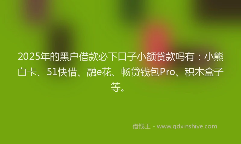 2025年的黑户借款必下口子小额贷款吗有：小熊白卡、51快借、融e花、畅贷钱包Pro、积木盒子等。