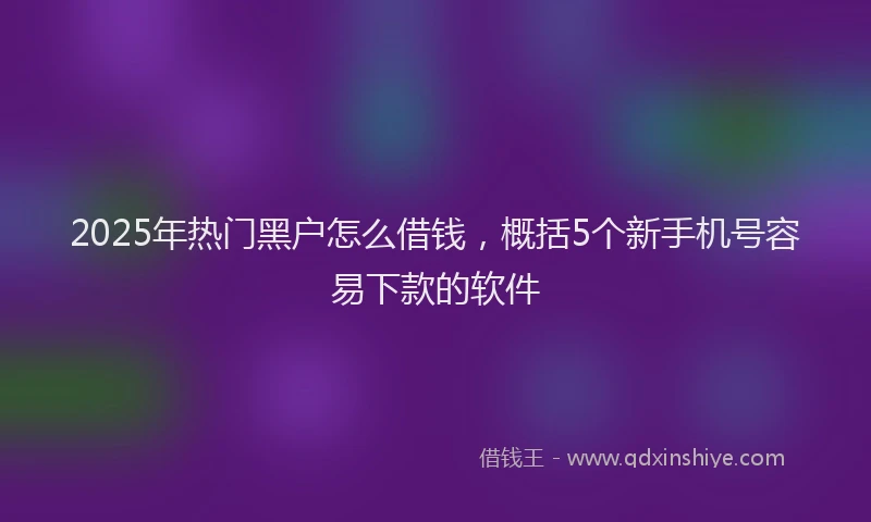 2025年热门黑户怎么借钱,概括5个新手机号容易下款的软件