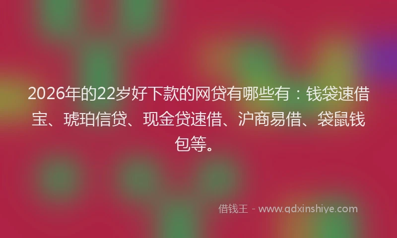 2026年的22岁好下款的网贷有哪些有：钱袋速借宝、琥珀信贷、现金贷速借、沪商易借、袋鼠钱包等。
