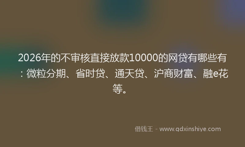 2026年的不审核直接放款10000的网贷有哪些有:微粒分期、省时贷、通天贷、沪商财富、融e花等。