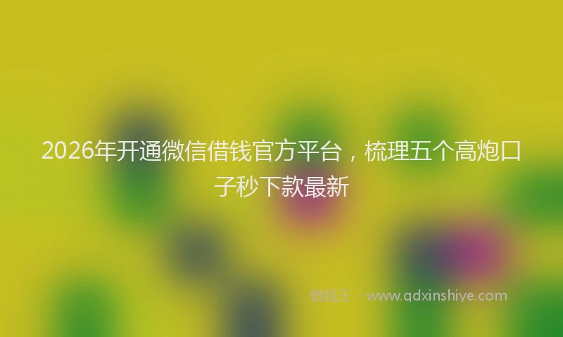 2026年开通微信借钱官方平台,梳理五个高炮口子秒下款最新
