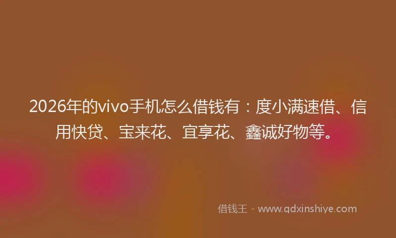 2026年的vivo手机怎么借钱有：度小满速借、信用快贷、宝来花、宜享花、鑫诚好物等。
