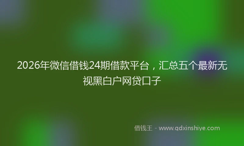 2026年微信借钱24期借款平台,汇总五个最新无视黑白户网贷口子