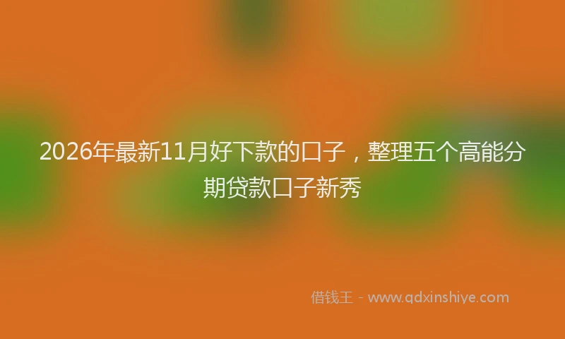 2026年最新11月好下款的口子，整理五个高能分期贷款口子新秀