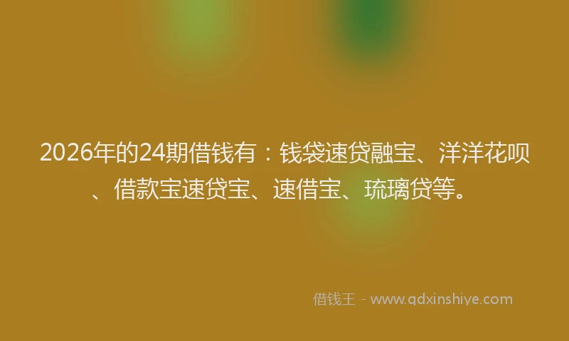 2026年的24期借钱有:钱袋速贷融宝、洋洋花呗、借款宝速贷宝、速借宝、琉璃贷等。