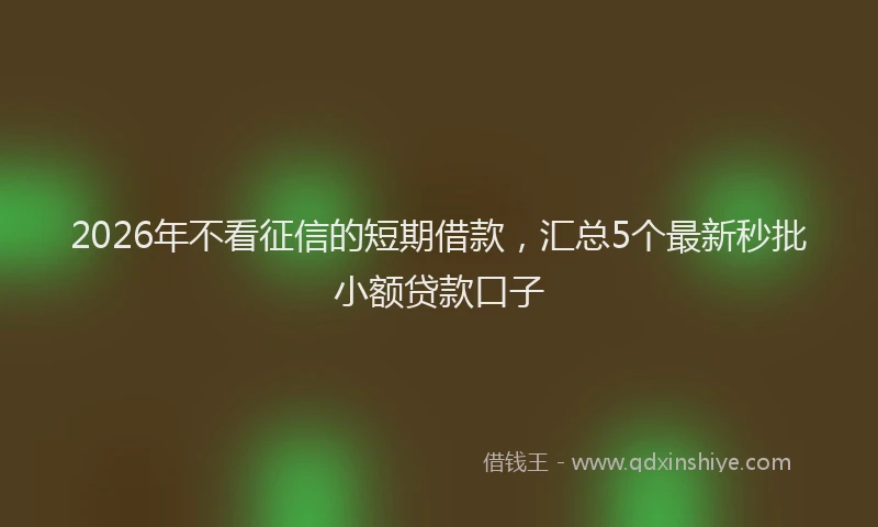 2026年不看征信的短期借款，汇总5个最新秒批小额贷款口子