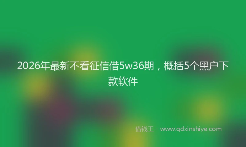 2026年最新不看征信借5w36期，概括5个黑户下款软件
