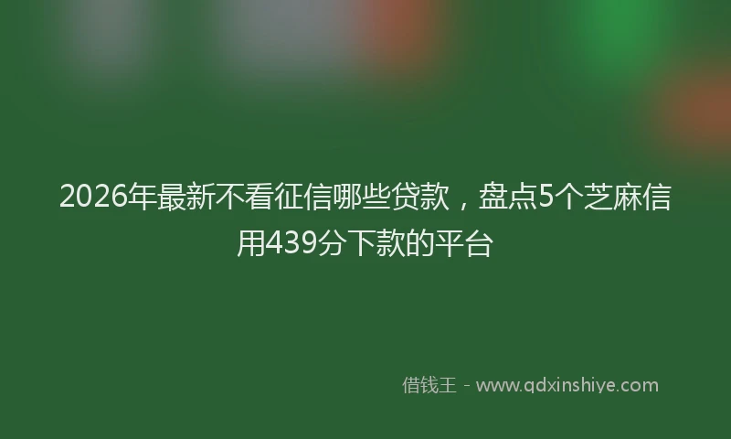 2026年最新不看征信哪些贷款，盘点5个芝麻信用439分下款的平台